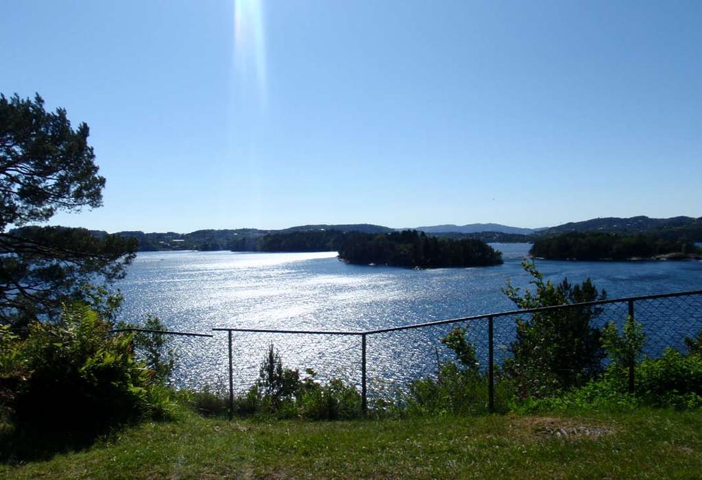 Forslag til avbøtende tiltak - Mest mulig vegetasjon bør bevares som i dag, både på Troldhaugen og i Skiparvika panorama.