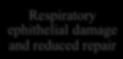 leukotrienes, histamine, MUC5AC increased parasympathetic