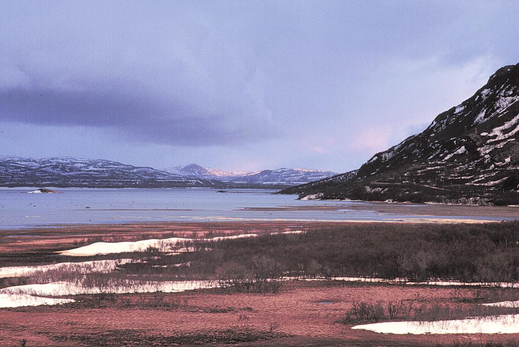 glende hekkesuksess i Lappland de seneste årene. Valdakmyra i Porsanger kommune i Finnmark er hovedrasteplassen for dverggjess i Norge både før og etter hekkingen.