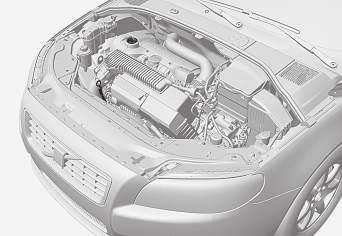 10 Vedlikehold og service Motorolje, kontroll og påfylling Oljenivået på visse motorvarianter kontrolleres med en elektronisk oljenivåføler, på andre motorvarianter måles den med peilepinne.