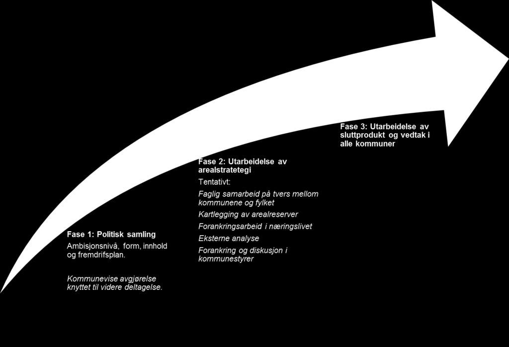 Fase 1: Politisk samling Det legges altså opp til en innledende politiske samling hvor det bør inviteres bredt fra hele regionen.