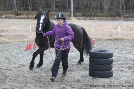 4 klasser med 26 startnummer. Agility er en konkurranse der man skal lede hesten gjennom ulike hinder.