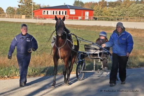 Høstsamling med hest og med kurs 15.10 For årgangene 2015, 2014, 2013, 2012 og eldre ustartede. Kun 7 hester deltok på denne samlinga. 2 åringer, 3 2-åringer og 2 3- åringer.