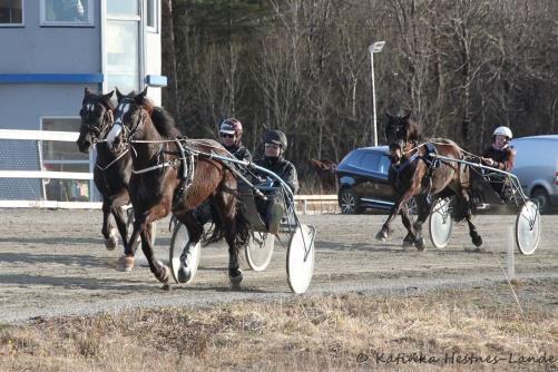 Varmestua var åpen med kiosksalg. Agility ifm utstilling 17.