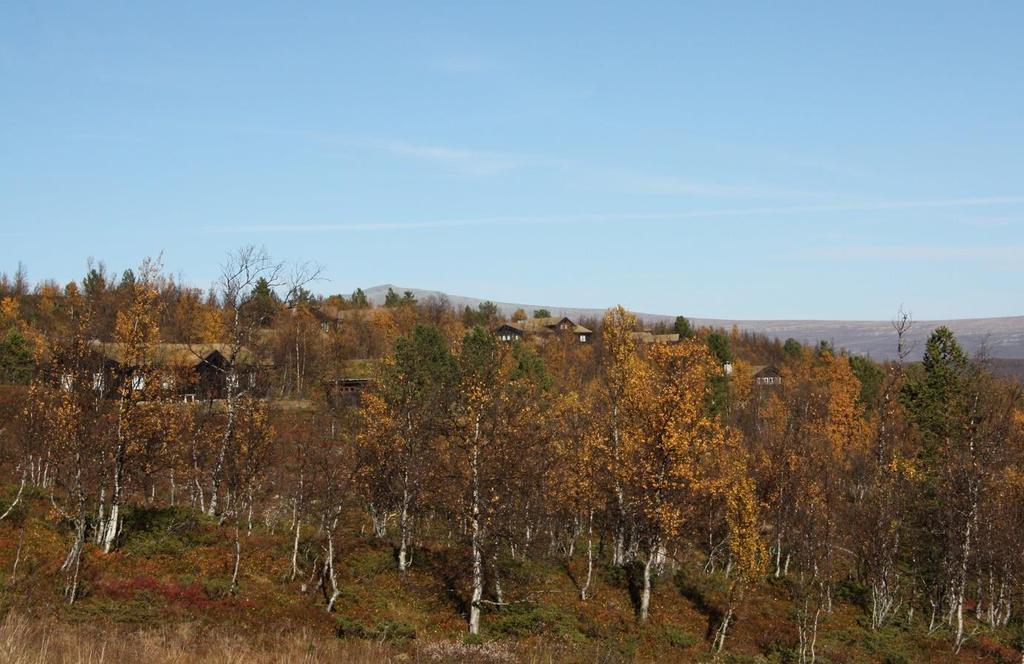 I pakt med naturen Mest mulig av den opprinnelige fjellnaturen er bevart på og mellom tomtene i Skardfjellgrenda.