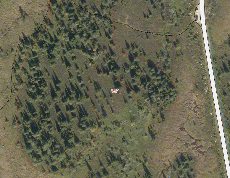 Vedlegg 7B Flyfoto av Rustvegen vest i kommunens kart, uten inntegnet myrlag.