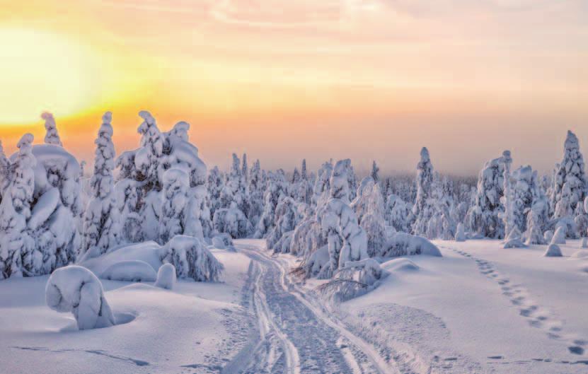 Produsert i Finland med respekt for vår unike natur. Fennia-prisen er Finlands viktigste designkonkurranse der selskaper og organisasjoner premieres for eksemplarisk bruk av design i sine løsninger.