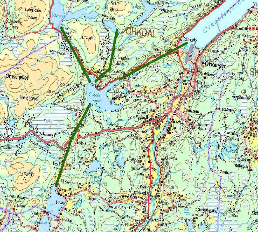 Viktige trekkorridorer De lavereliggende områdene i orkdal kommune finnes det flere viktige rasteområder for fugl.