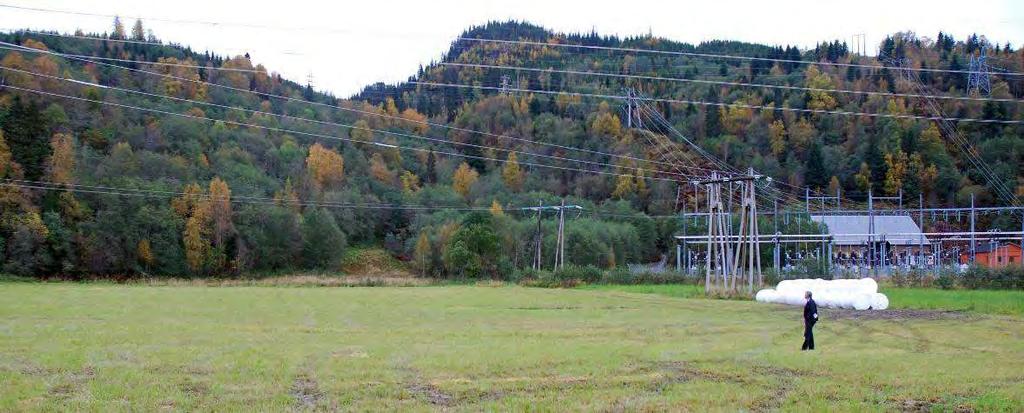 I 2006 og 2007 ble det sporadisk registrert hubroaktivitet i området nord for transformatortomta. Hubroen har blitt hørt her og der herfra og over på andre siden av dalen ved Berg og Hesthaugen.
