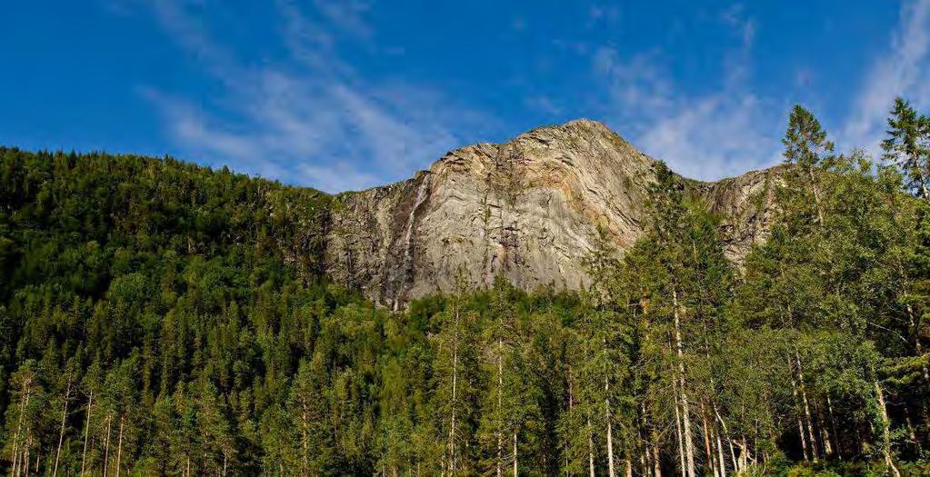 Figur 35. Migaren som ligger inne i Melvasslia naturreservat. Tabell 24. Prioriterte naturtyper i influensområdet til denne delstrekningen.