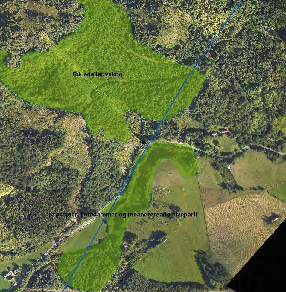 Figur 40. Traseen berører prioriterte naturtyper nede i Surnadal. Konsekvensene for fugl knyttes særlig til Kryssingen av de svært viktige fugleområdene oppe i Nordmarka.