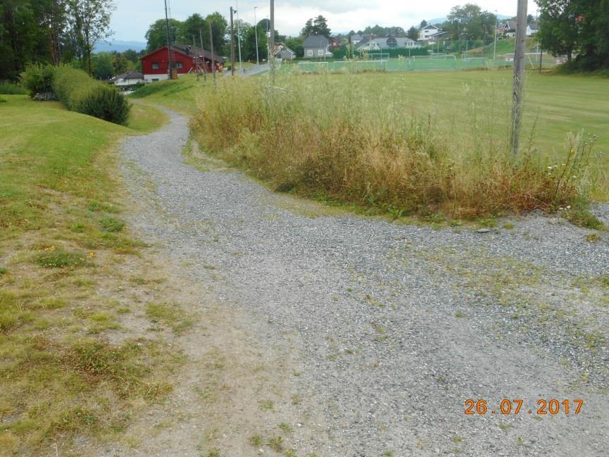 Det meste av året fanges alt overvann opp av vegsluk i vegkrysset. Når det regner sterkt, tar ikke slukene unna alt overvannet.