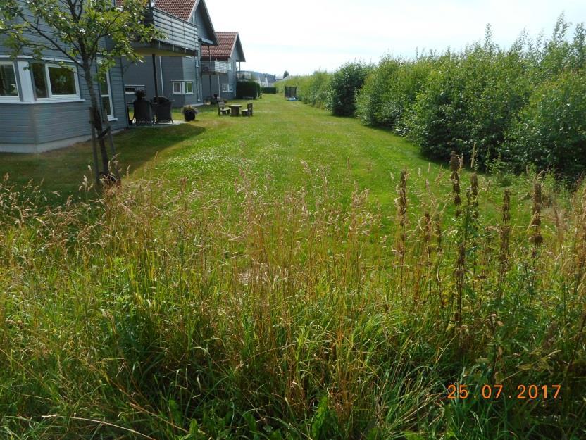 Enkelte steder må boligfelt «beskyttes mot overvann fra høyereliggende områder. Dette gjelder også ubebygde områder. Foto 2.2-7 og foto 2.