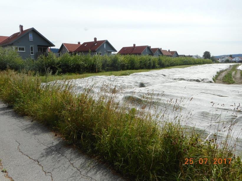 2-8: Avskjærende flomveg mellom dyrket mark og et boligområde: Regn på frossen mark kan gi svært kraftig avrenning.