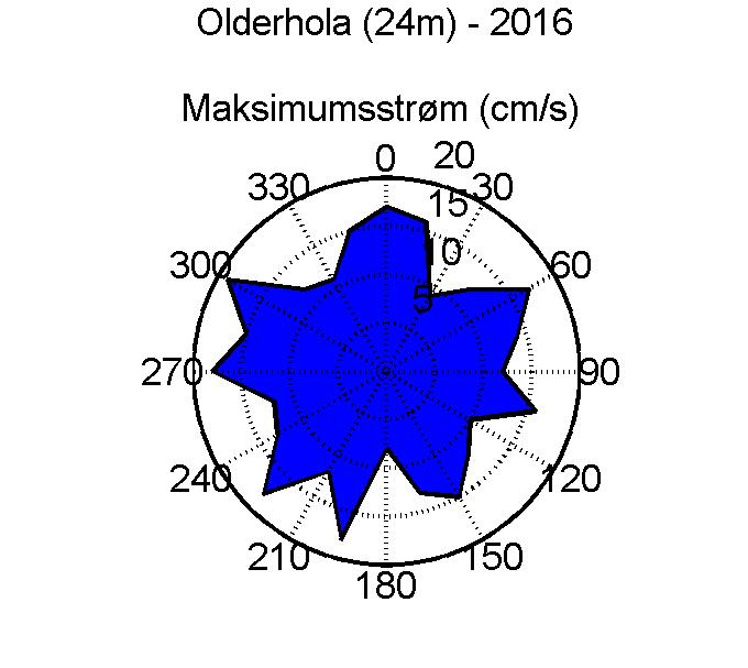 Maksimal hastighet Strømstyrke og retningsfordeling. Totallengden på sektorene indikerer andel målinger (%) i respektive retninger i løpet av måleperioden.