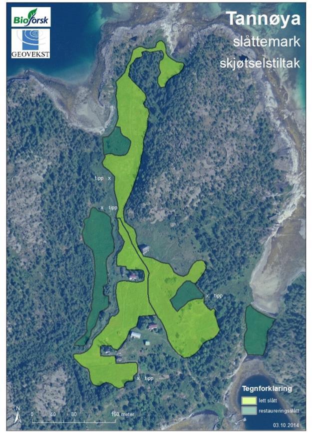 VEDLEGG 2 Kart med skjøtselstiltak Figur 2: Skjøtselstiltak for slåttemarkene på Tannøya.