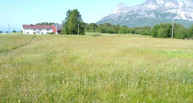 VEDLEGG 4 - Bilder Bilde 3: «Slåttemark, rundt gårdene».