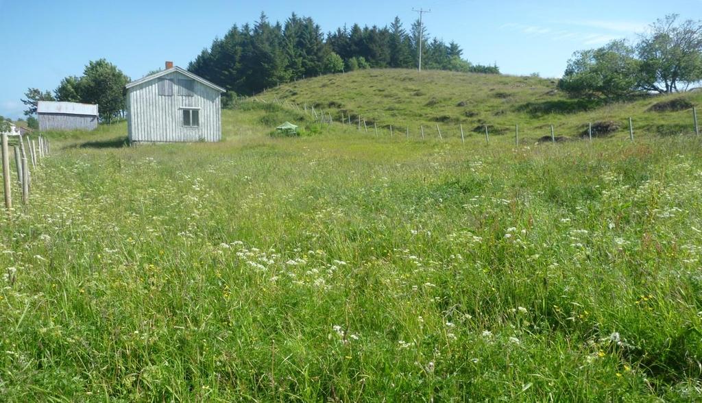 (Foto: A. Bär). Bilde 2. Slåttemarka med det gamle våningshuset.