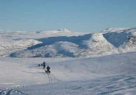 Ha ansvar for innholdet på landingssida til Norges nasjonalparker på visitnorway.