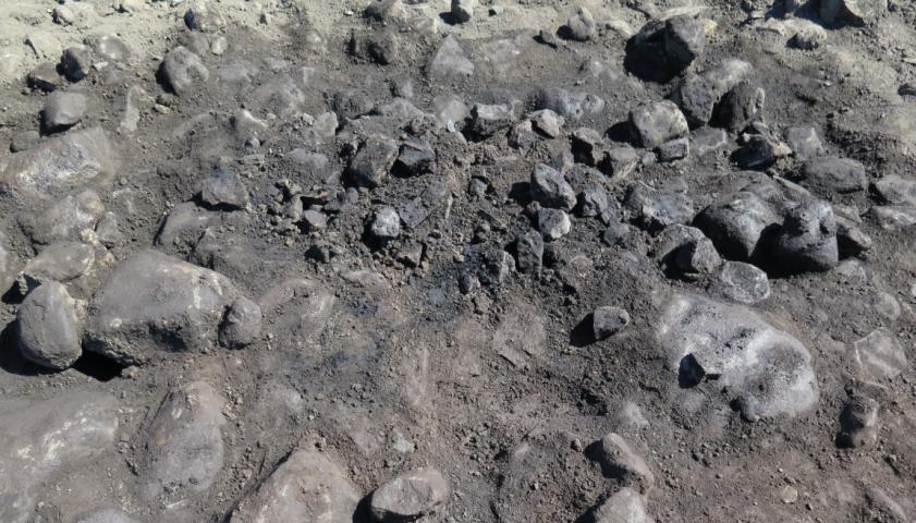 A1214 Kokegropen A1214 ble påtruffet under ca. 30 cm med stein, i rydningsrøys A1446. Røysen dekket store deler av utgravningsområdet sørøstlige avgrensning som lå delvis innenfor myrlendt område.
