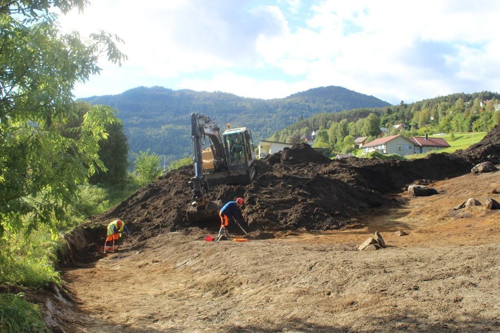 opp, fotografert og tegnet. Det ble tatt ut prøver til datering og paleobotaniske analyser. Fig. 3. Flateavdekking med maskin, sett mot V (foto F. AA). 4.