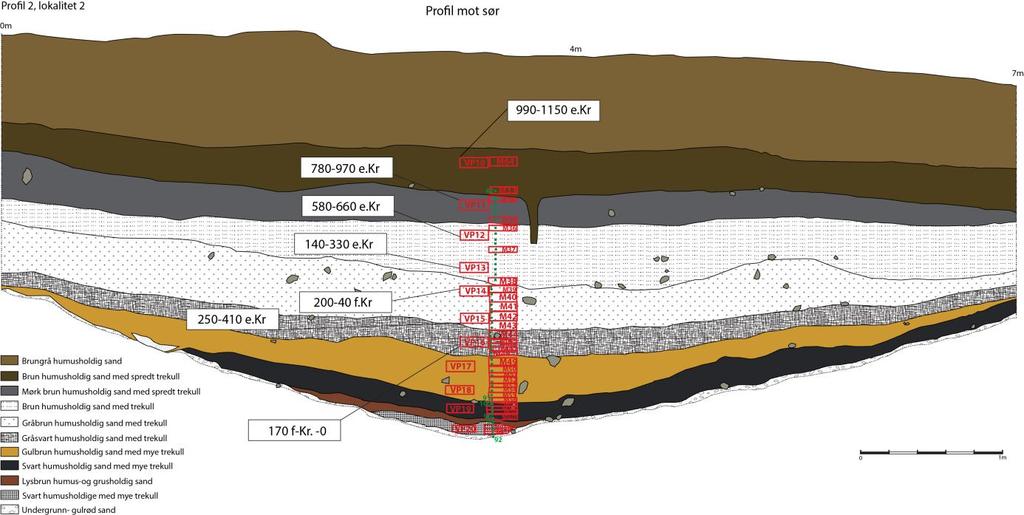 Fig. 6: Profil 2 med pollen- og makrofossilprøveuttak