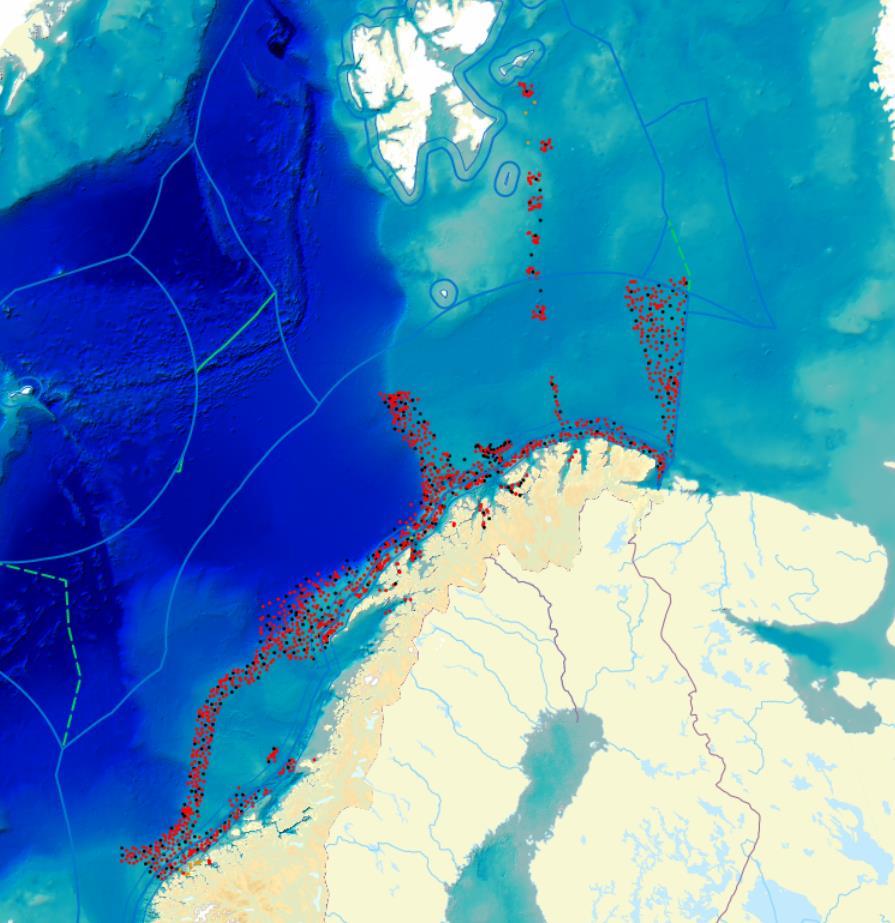 Stor eller liten grabb i MAREANO-kartleggingen?