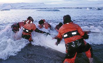 utbredelse og vandringer. Hvalene fanges ved at de drives med gummibåter inn i et større garn (50 100 m langt).