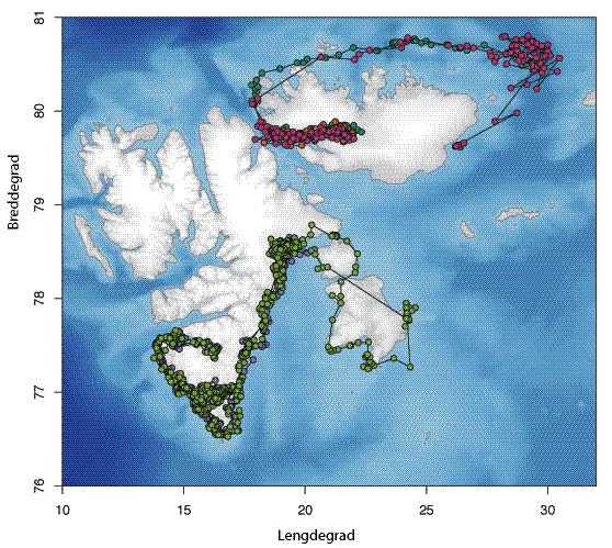 seg ved land. Forsøket gikk svært bra. En av hvithvalene samlet inn hele 540 CTD-profiler i løpet av to uker fra sentrale deler av Storfjorden, i et område med mer enn 90 % isdekke.