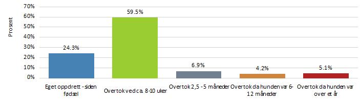 Når overtok du hunden? 24,3% av hundene var etter eget oppdrett; 59,5% av valpene ble overtatt ved 8-10 uker.