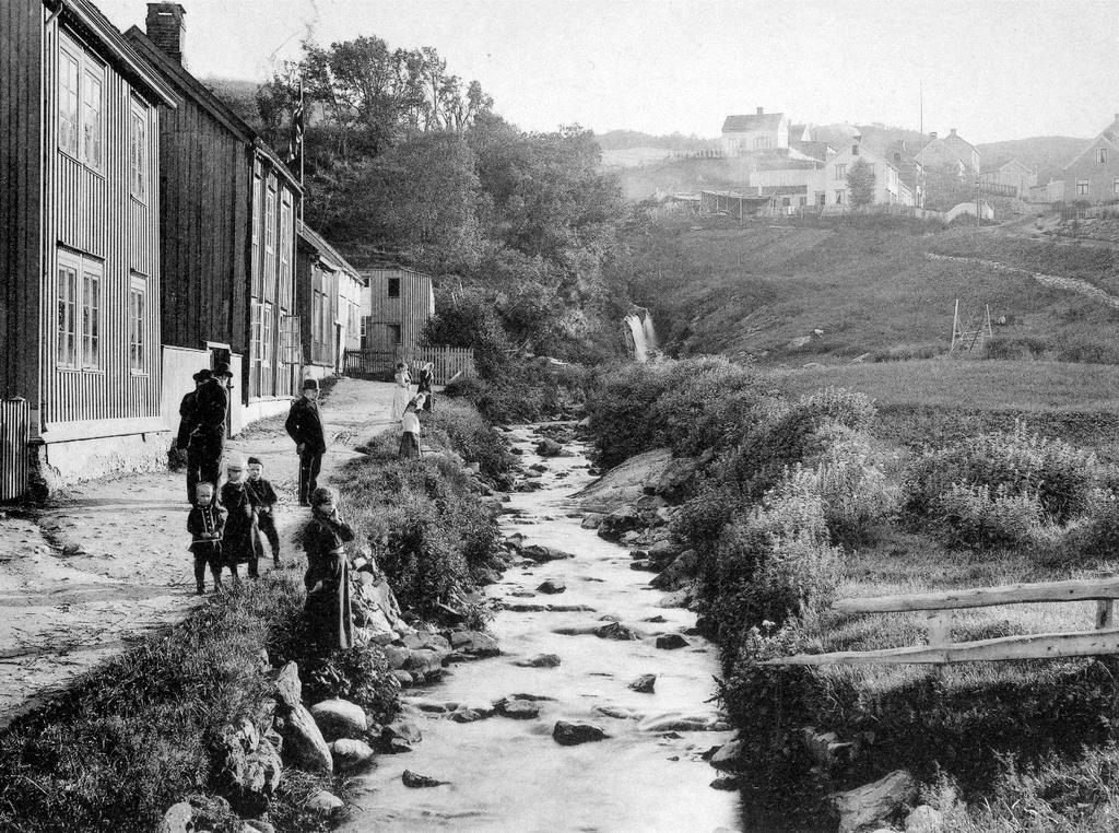 lokalt, regionalt og nasjonalt, og bidra til at sjøørreten igjen kan oppnå livskraftige, høstbare bestandsnivåer.