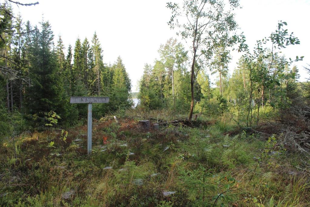 Id224939 Husmannsplass fra nyere tid på Kinnestad gbnr 154/1 Husmannsplassen er skiltet som Linnerud. Den ligger sørøst for veien ned til Setten og sørvest for veien til hytteparken.