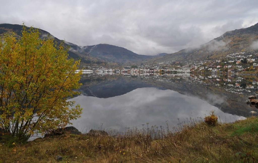 Dette gjeld omsorgstenestene, helsestasjon, legetenesta, økonomisk sosialhjelp og gjeldsrådgjeving, bygningsvedlikehald og utarbeiding av nytt kartgrunnlag.