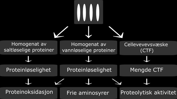 3 Tillaging av CTF og homogenat 2.3.1 CTF Tillaging av CTF ble gjort som beskrevet av Nilsson & Ekstrand (1993).