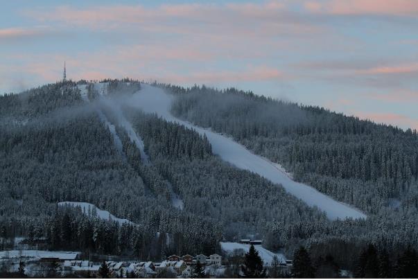 Hakadal IL Alpin har i over 50 år hatt mange ivrige alpinister, barn og unge som har hatt Varingskollen som hjemmearena og møteplass.