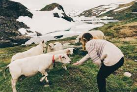 TURGLEDE FOR LITEN OG STOR Å gå tur er kanskje den beste og enkleste måten for storfamilien å nyte fjellheimen