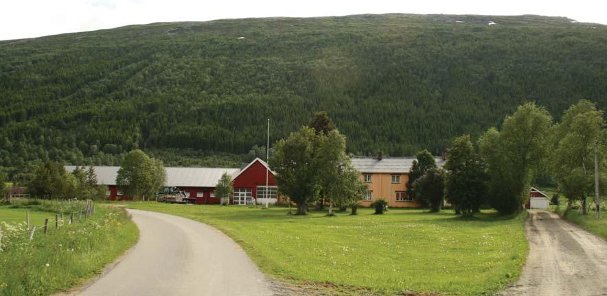 Nå kommer E-bjella På Kvikne i Nord-Østerdal har et firkløver av sauebønder og datafolk utviklet ei radiobjelle som er helt uavhengig av om det er mobilnettdekning eller ikke i området.