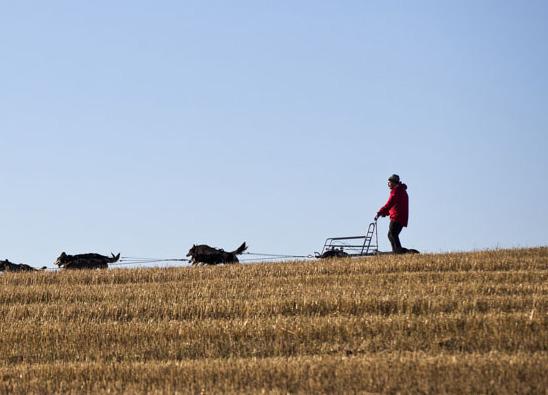 noe med på kort sikt, og tap av markedsandeler. Største delen av avviket mellom faktisk og forventet utvikling i Hedmark skyldes sistnevnte man taper i konkurransen med bedrifter andre steder.