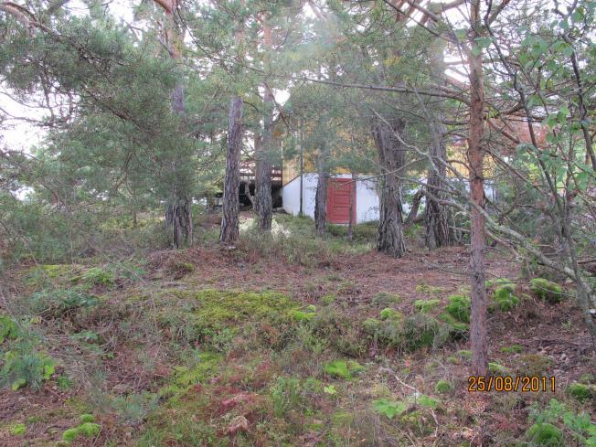 Figur 9: Den største flaten i midten av planområdet. Sett mot N Figur 10: En mindre flate ved den øverste eiendommen.