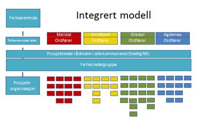 Ulemper kan være at prosjektorganisasjonen frikobles fra drift, og at det ikke er lederlinje fra prosjektet til resten av organisasjonene.