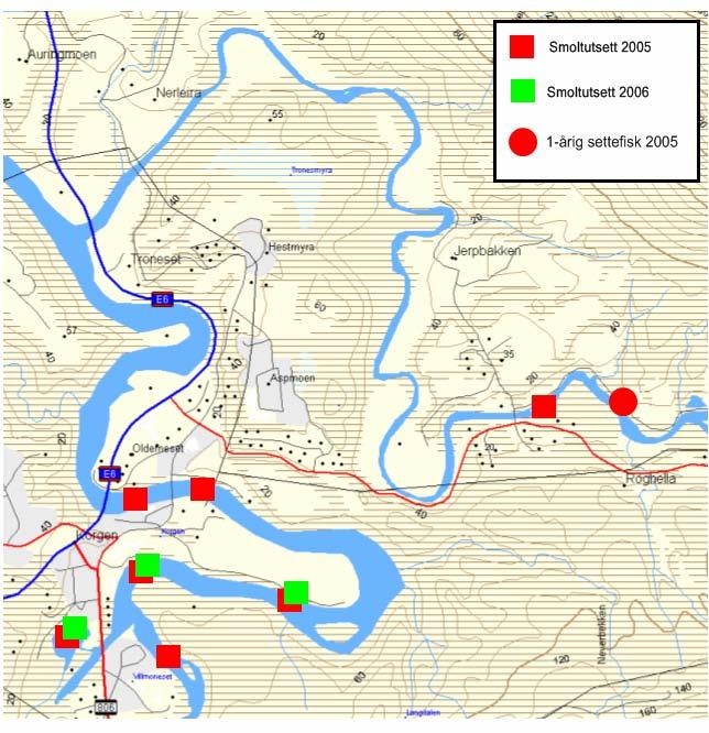 Figur 3. Kart over Røssåga nedstrøms kraftverksutløpet med nedre deler av sideelva Leirelva. Lokalitetene nyttet ved utsett av smolt og 1-årig yngel i 2005 og 2006 er angitt med kvadranter og sirkler.