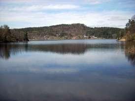 kvalitetselementer til en hel vannforekomst Eksempler fra norske elver og innsjøer