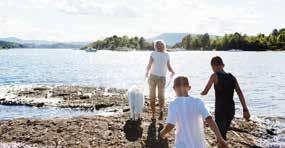 OKSENØYA 2 FORNEBU Foto: OBOS Drømmen om Fornebu Mange bærer på en drøm om å bo i vannkanten, men likevel sentrumsnært.