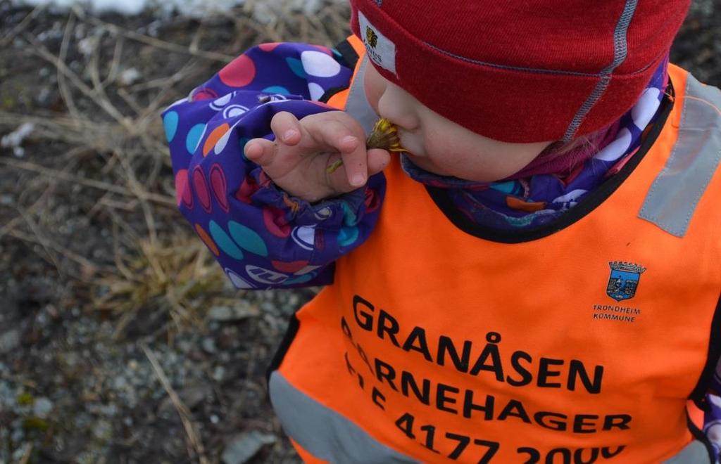 Så mye rask som folk kaster ifra seg.