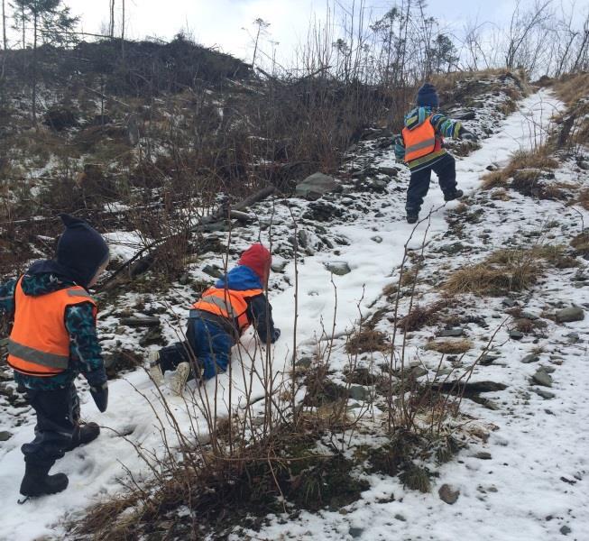 Plutseleg var det nokon som ville opp i skogen, og me fulgte på.