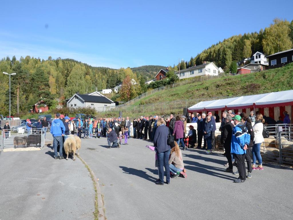 7. Værringene og kåring Fåvang har 2 avdelinger i Ring 41 i Oppland. Avdeling 45 Spæl og avdeling 48 Norsk Kvit. Avdelingene har egne årsmøter og årsmeldinger.