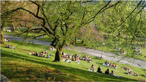 Selv om det er mer grønt i de ytre delene av byen, er kvaliteten på og bruksverdien av utearealene ofte høyere i de tette byområdene (Ståhle 2005).