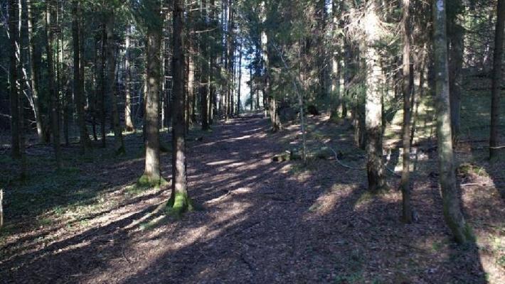 Tangvald naturreservat (51.3 km) I den bratte sørvestvendte hellinga i Rognsflauene, fra Tangvaldkleiva og sørover til Rognstranda, ligger Tangvald naturreservat.