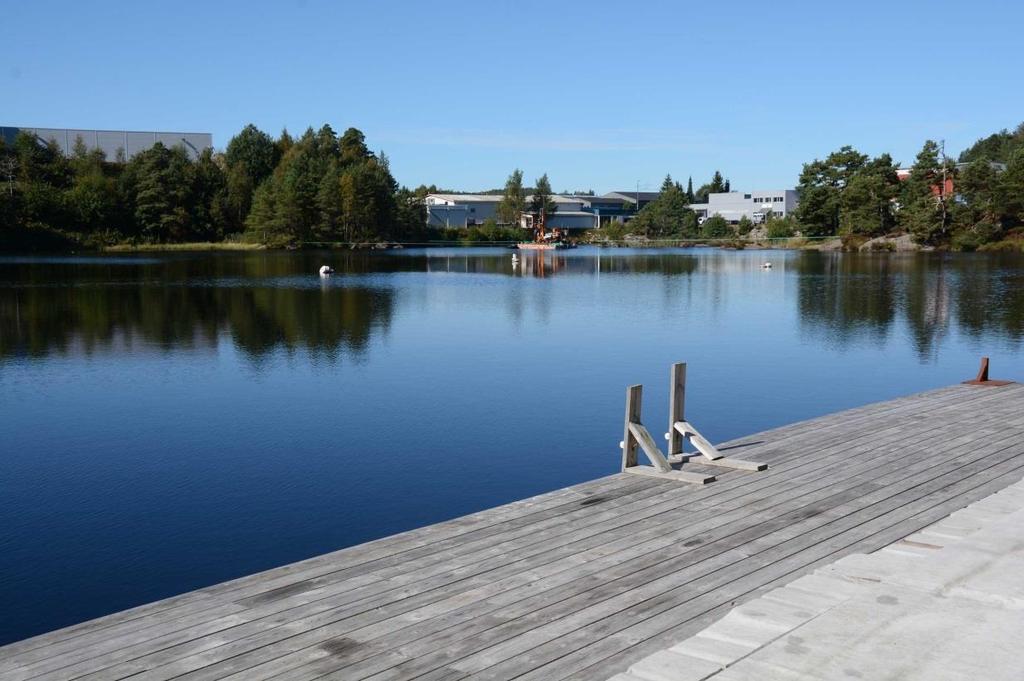 naturtypelokaliteten ved foten av