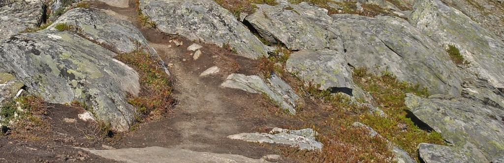 Navn Romsdalseggen Vår vurdering Sted Vengedalen Timer en vei 5,5 Total stigning 970 meter Utsikt